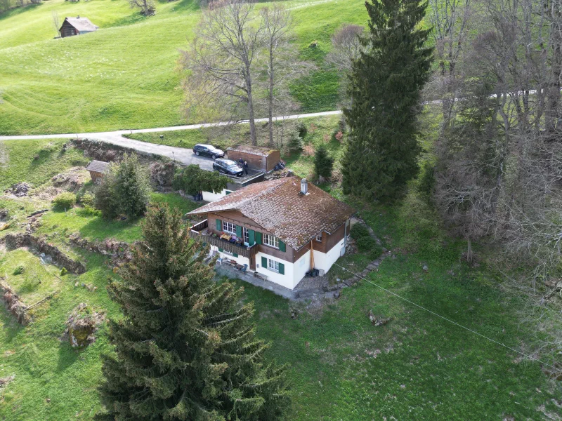 Heidi Apartment